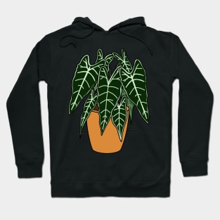 Alocasia Polly Illustration | Plant in a pot Hoodie